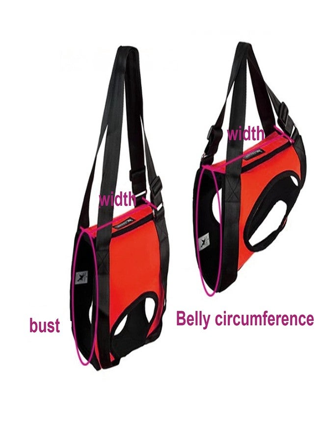 Kadimendium 2 Types Dog Support Harness Dog Aid Harness Dog Sling Walking Aid Pulling Vest for Injured Old Dogs Front and Hind Legs (Red hind Legs S) - Image 2